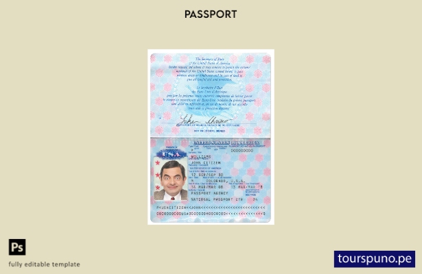 Listo para imprimir la plantilla previa del pasaporte de EE. UU.